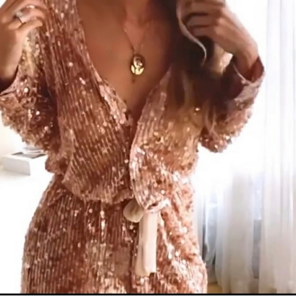 ZARA semi sheer sequin button up shirt dress - Picture 10 of 14